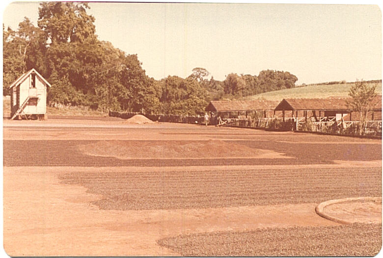 Dacalda em 1969