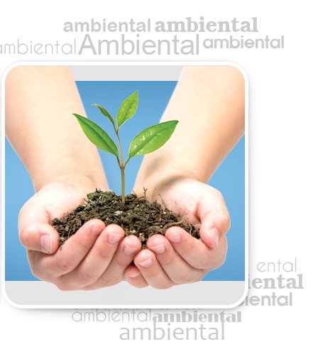 Responsabilidade Ambiental
